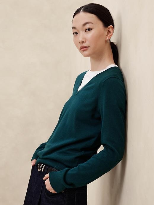 Forever V-Neck Sweater Product Image