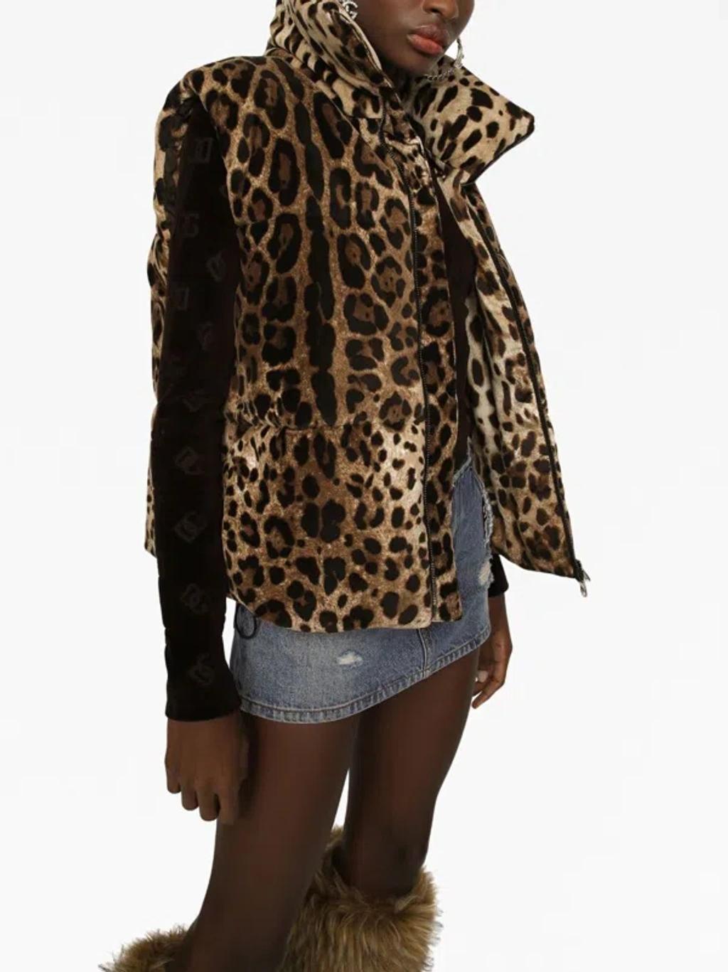 DOLCE & GABBANA Logo-plaque Leopard-print Gilet In Brown Product Image