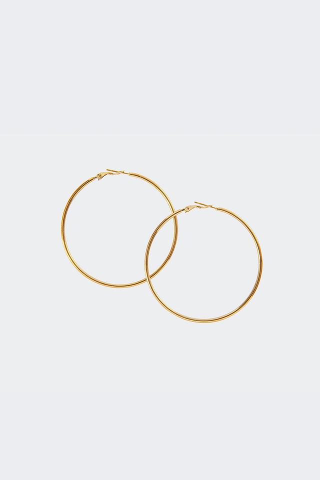 Pure Hoop Earrings Product Image