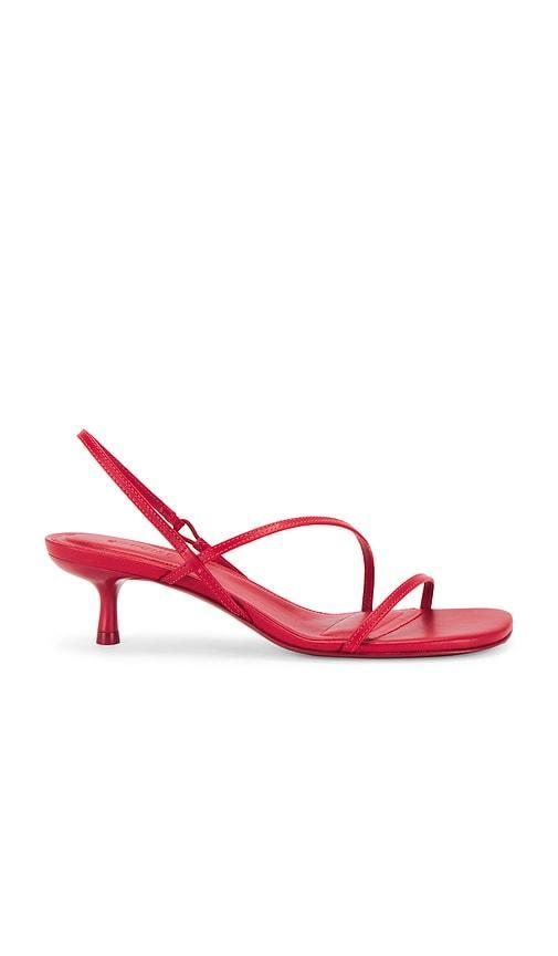 Cedonia Strappy Kitten Heel Sandal Product Image