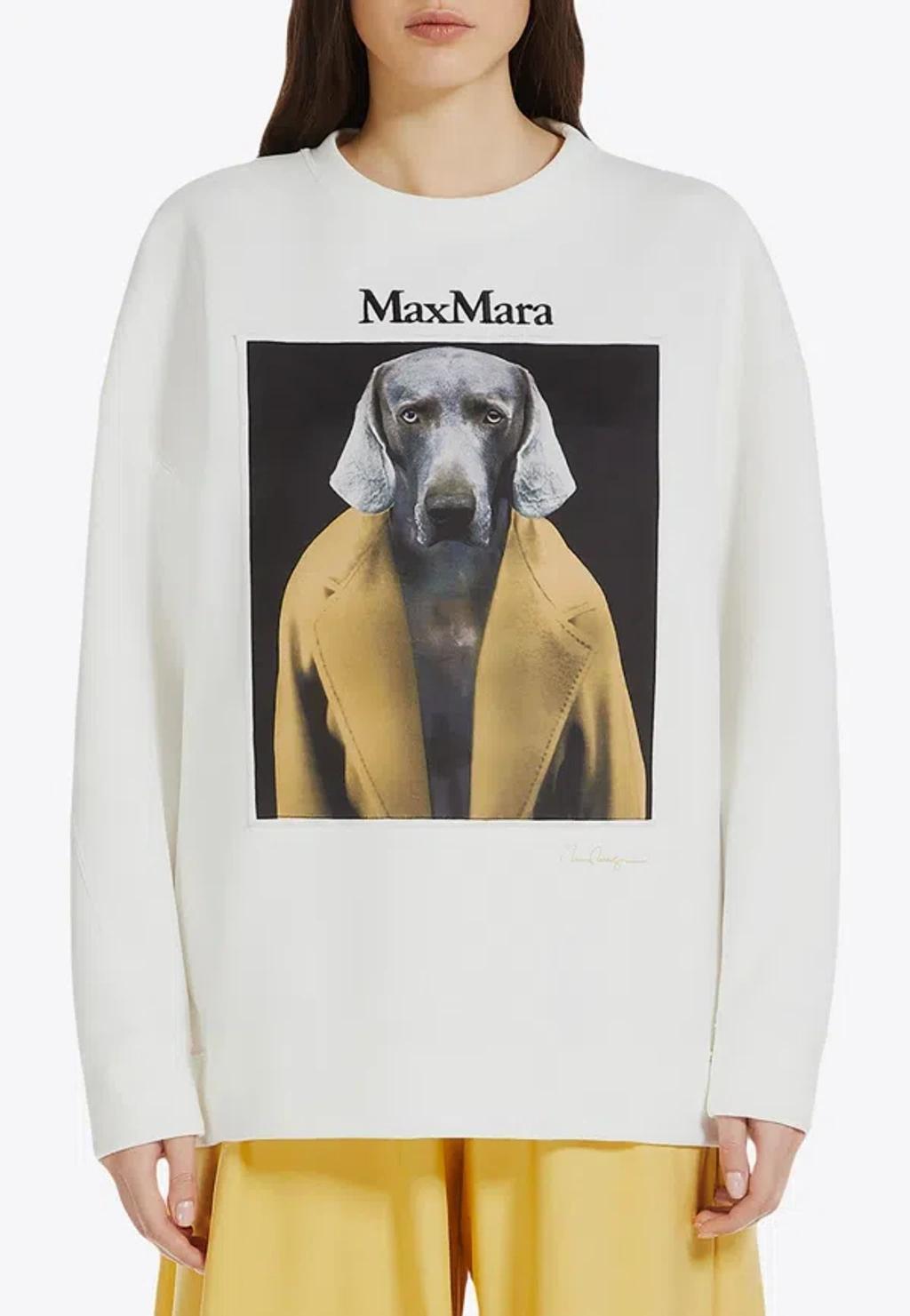 MAX MARA Sweaters In Beige Product Image