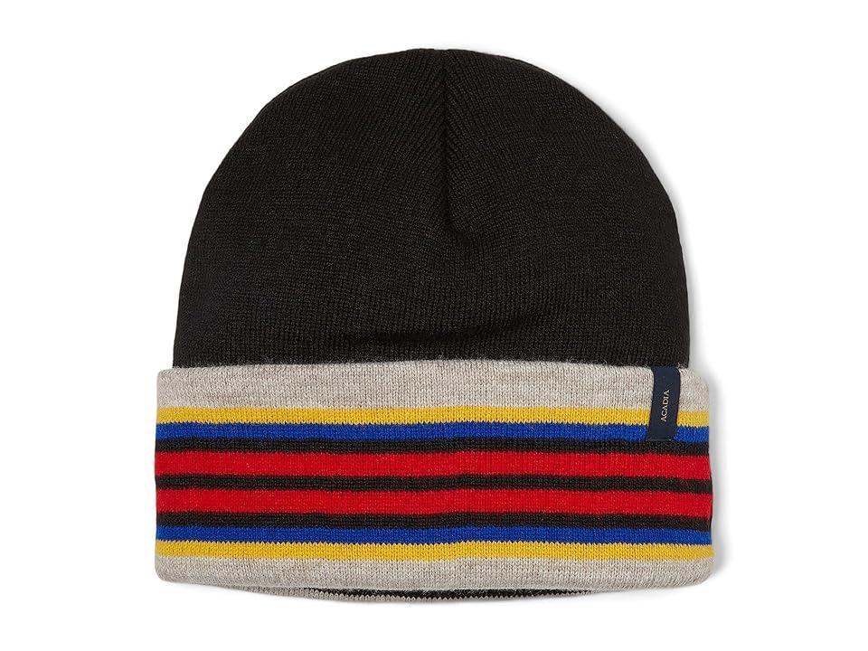 Pendleton National Park Stripe Beanie (Acadia) Beanies Product Image