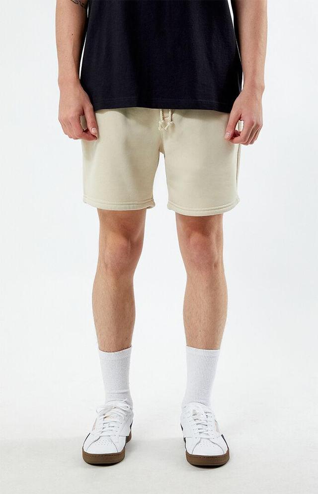 Men's Gray Fleece Volley Shorts Product Image