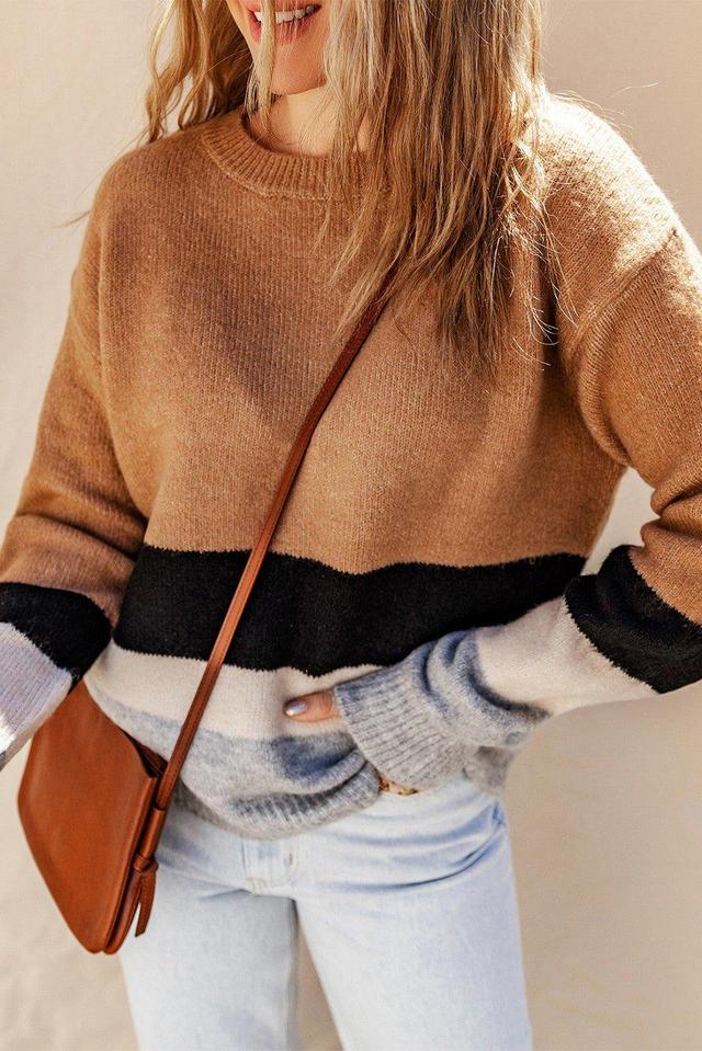 Brown Color Block Striped Knit Sweater Product Image