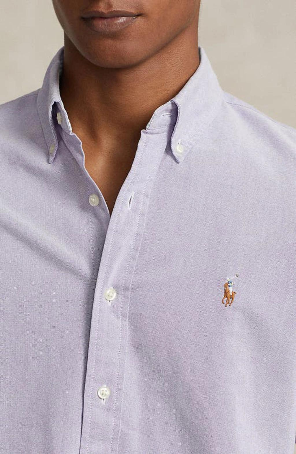 Cotton Oxford Classic Fit Button Down Shirt In Purple Product Image