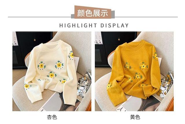 Round Neck Floral Embroidered Sweater Product Image