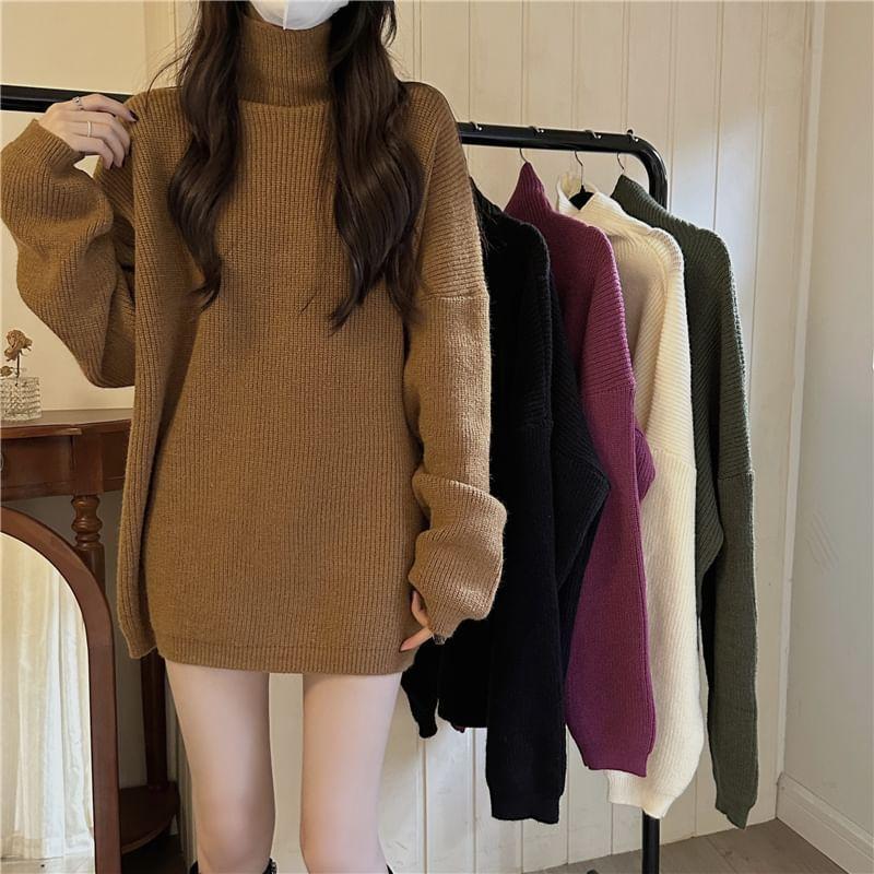 Long-Sleeve Turtleneck Plain Sweater Product Image