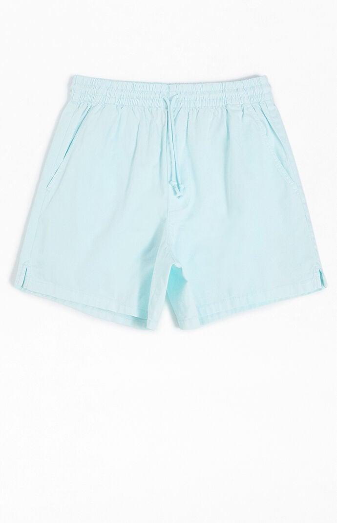 Champion Men's Blue Woven Walk Shorts Product Image