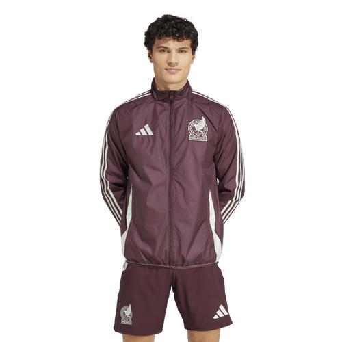 adidas Mens Mexico 2024 Anthem Jacket - Dark Burgundy/Linen Green Product Image