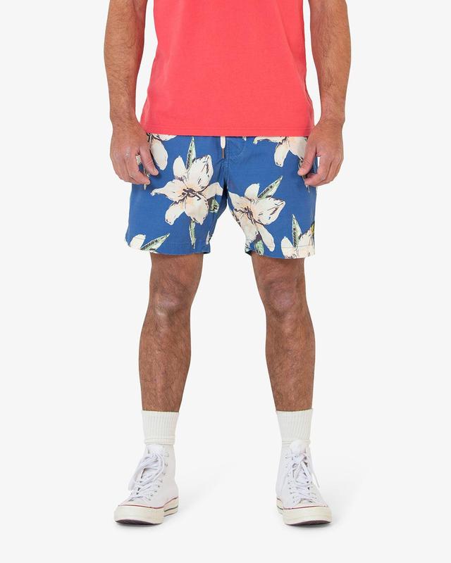 Havana Boardshort (Mesh) - Blue Product Image