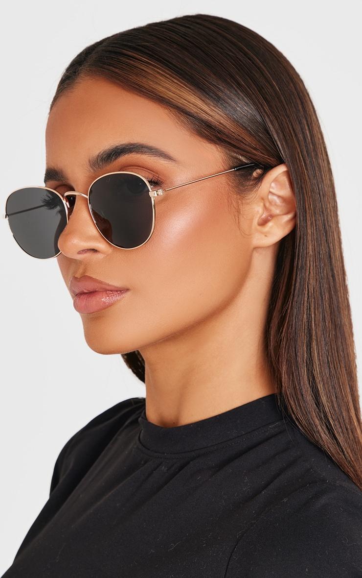 Black On Gold Circular Sunglasses Product Image