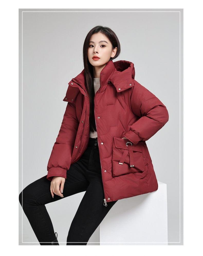 Plain Hooded Zip Jacket Product Image