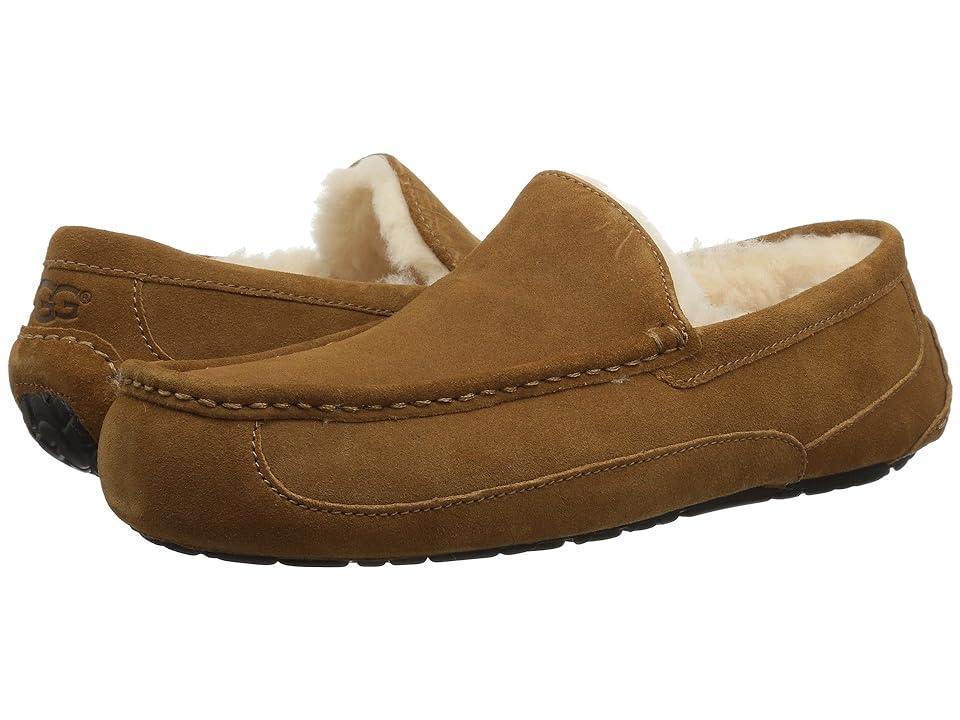 UGG Mens UGG Ascot - Mens Shoes Product Image