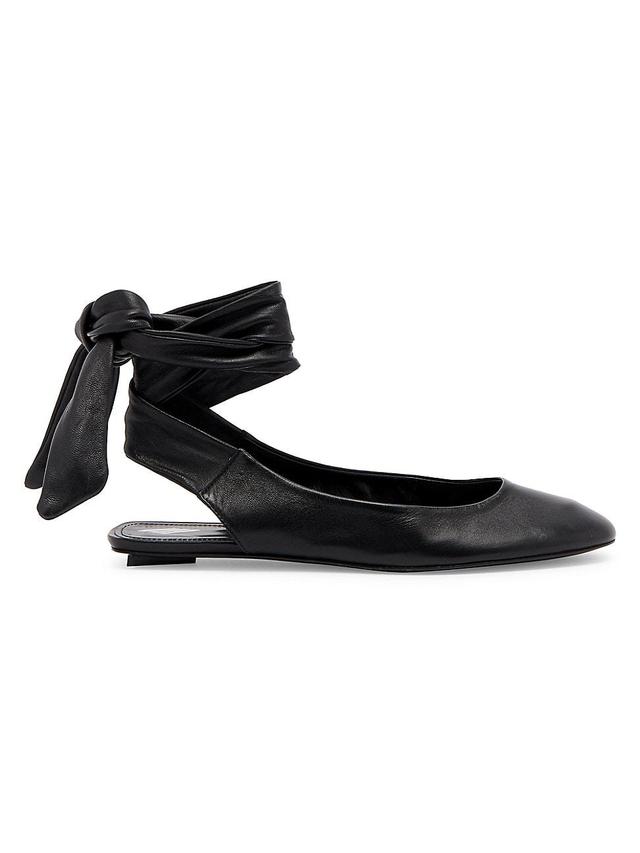 Womens Cloe Ballerina Flats Product Image