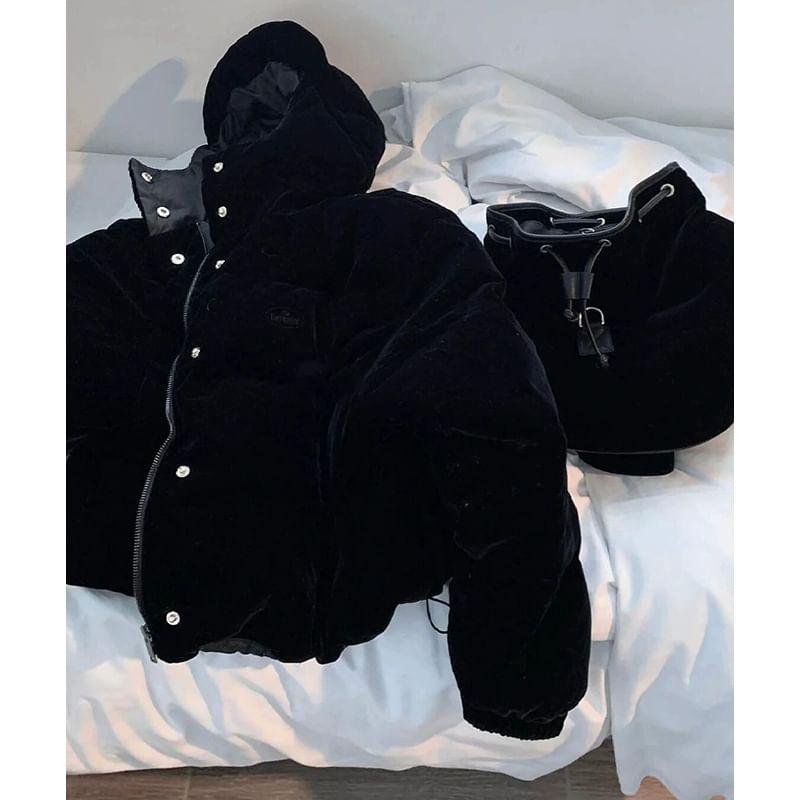 Velvet Button-Up Padded Jacket Product Image