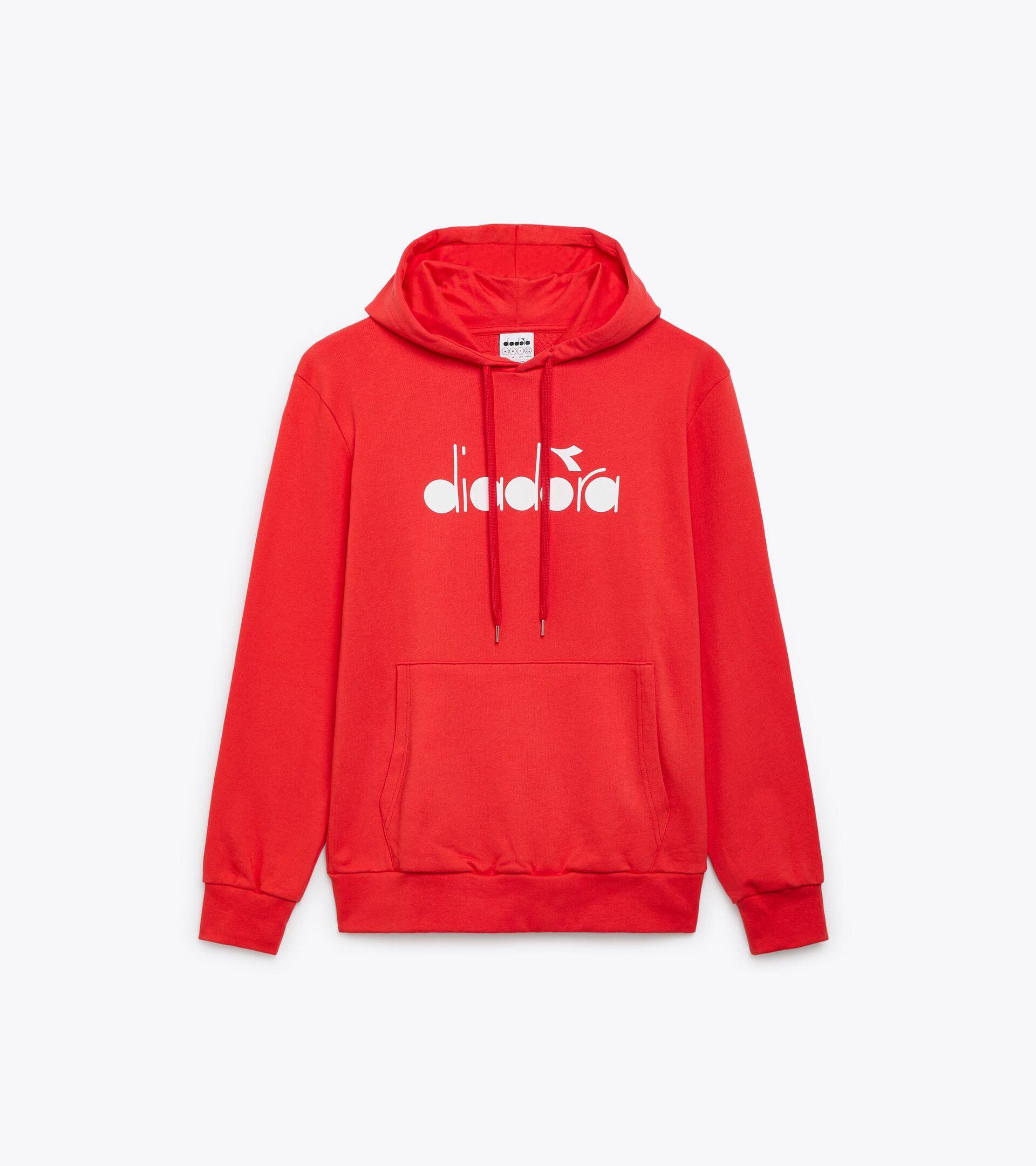 HOODIE LOGO Product Image