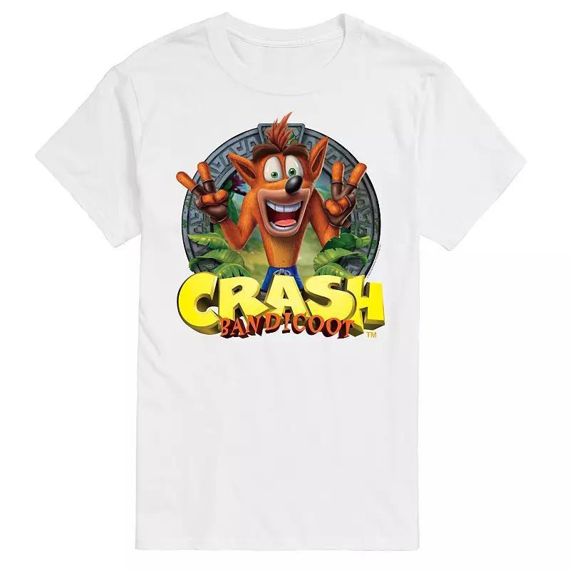 Big & Tall Crash Bandicoot Peace Stone Tee, Mens Product Image