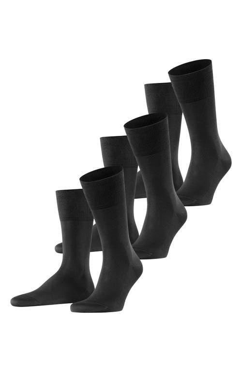 Falke Tiago 3-Pack Dress Socks Product Image