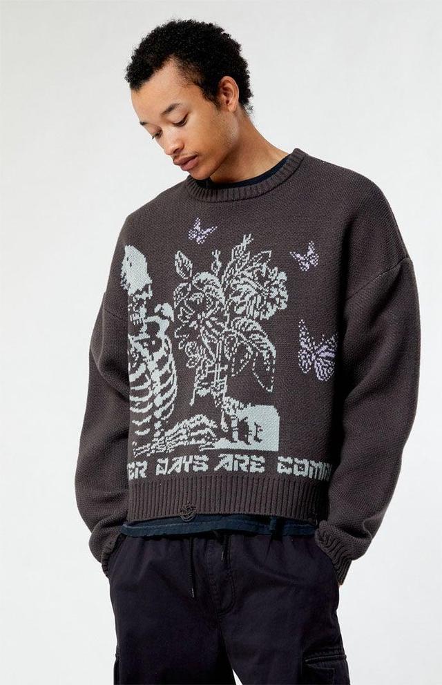 Men's Better Days Cropped Sweater Product Image