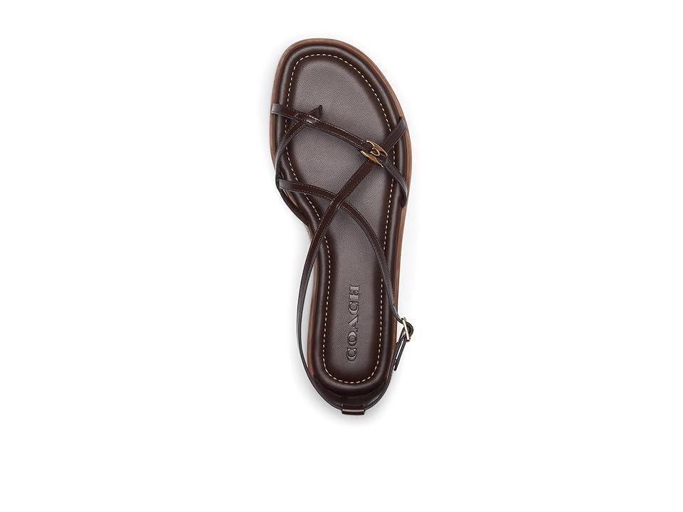 COACH Jenni Sandals (Maple) Women's Sandals Product Image