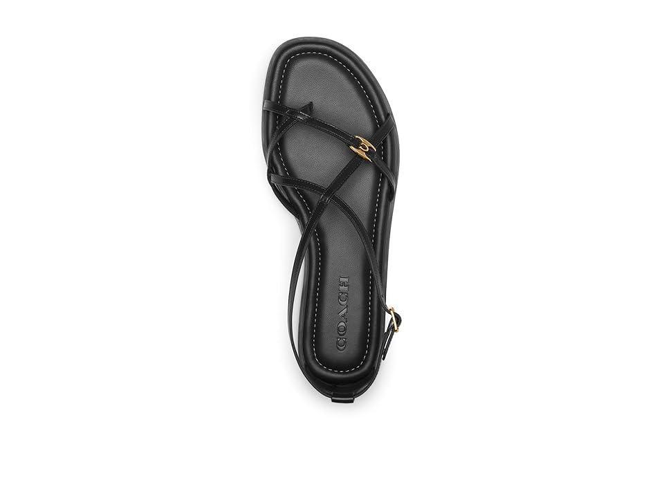 COACH Jenni Sandals Women's Sandals Product Image