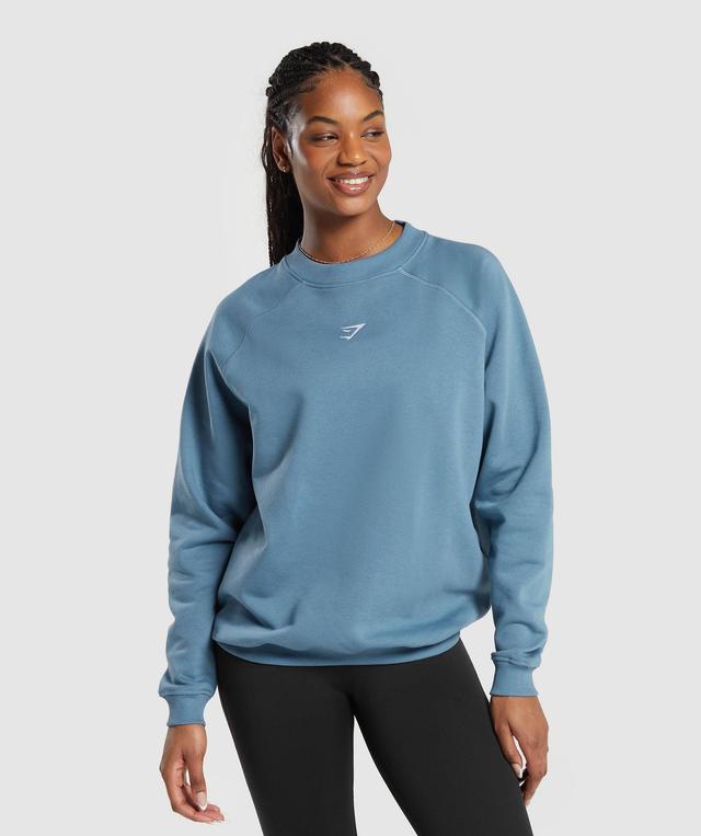 Training Oversized Fleece Sweatshirt Product Image