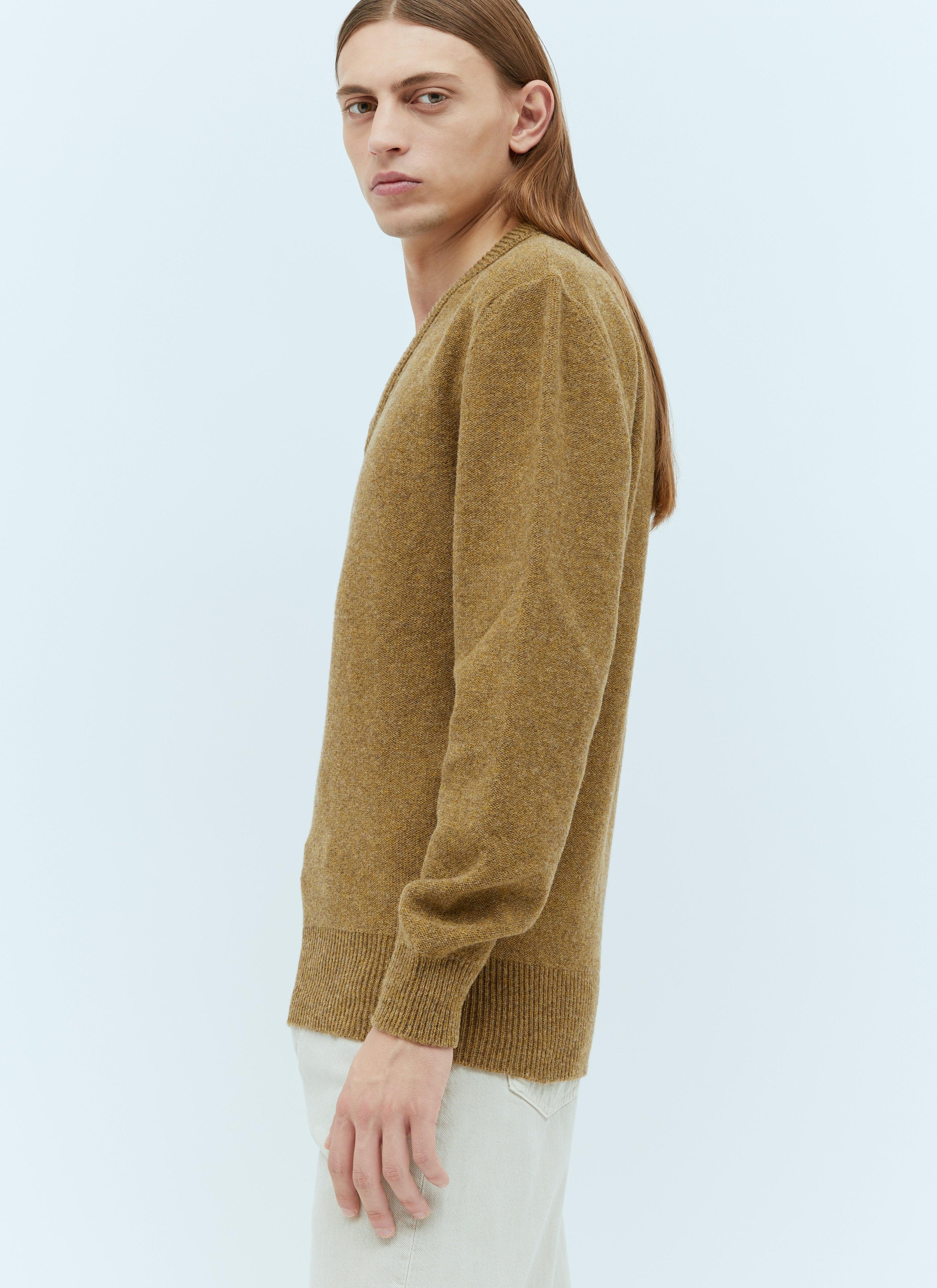 Yellow V-neck Sweater In Brown Product Image