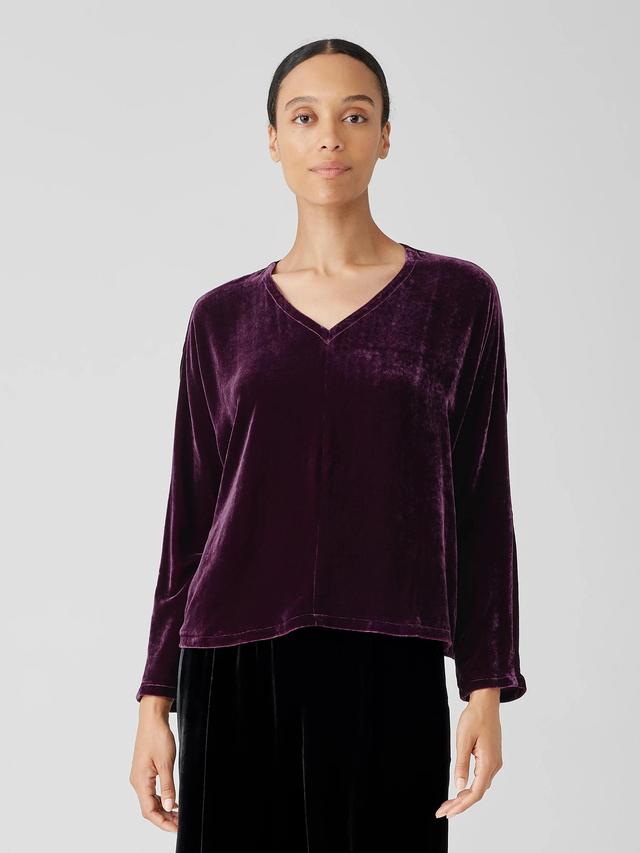 Velvet V-Neck Top Product Image