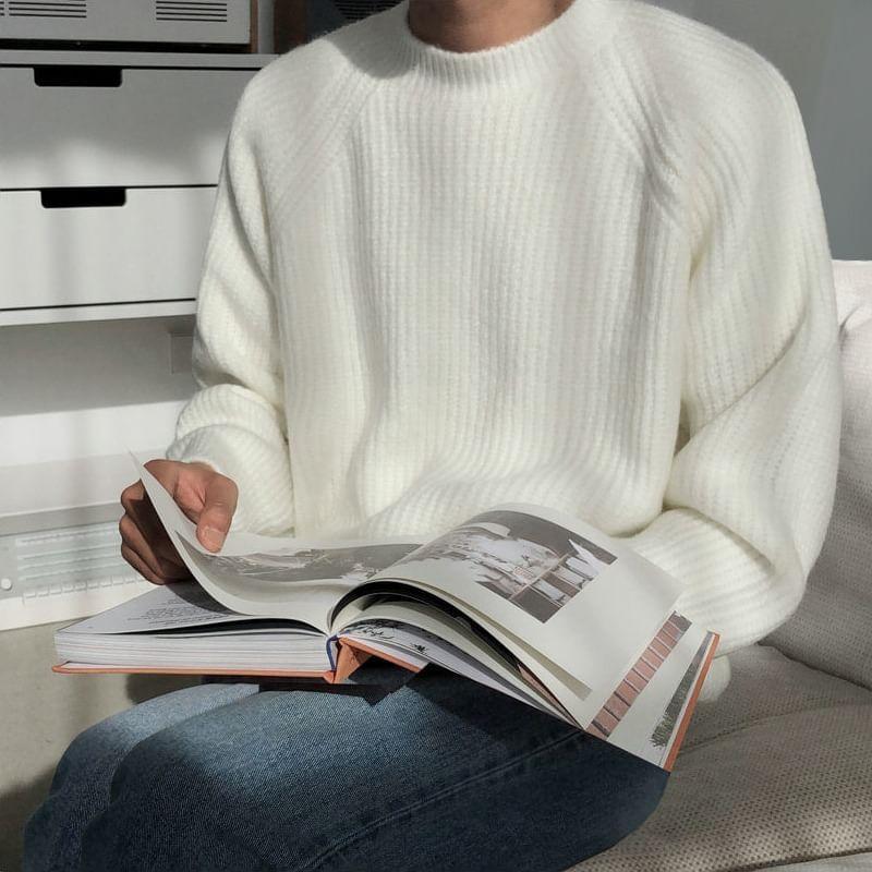 Crew Neck Plain Sweater Product Image