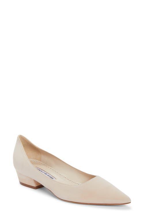 Manolo Blahnik Lista Pointed Toe Pump Product Image