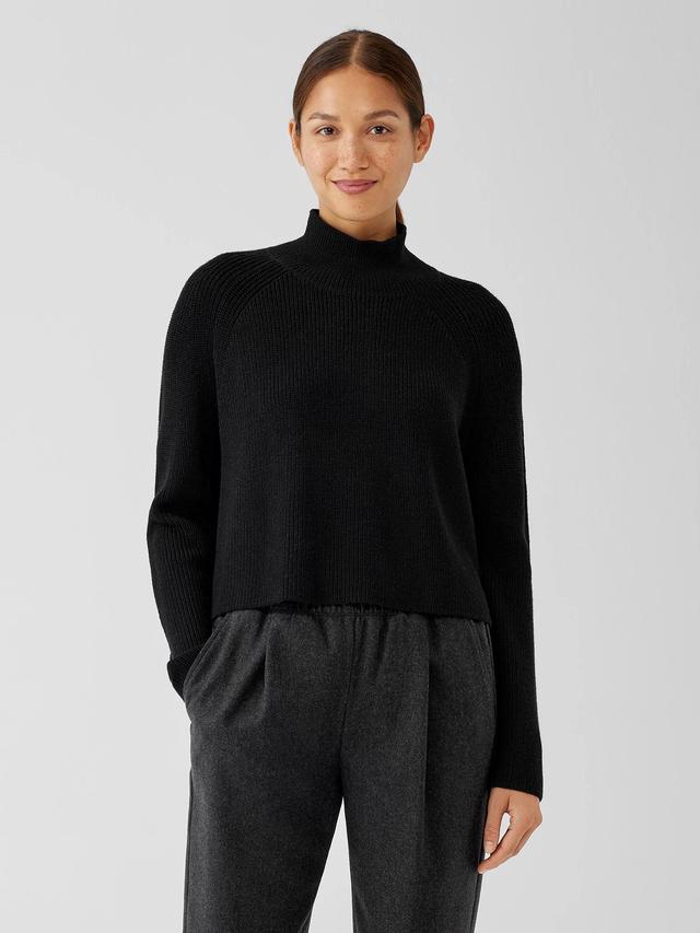 EILEEN FISHER Merino Cropped Turtleneck Top in Regenerative Woolfemale Product Image