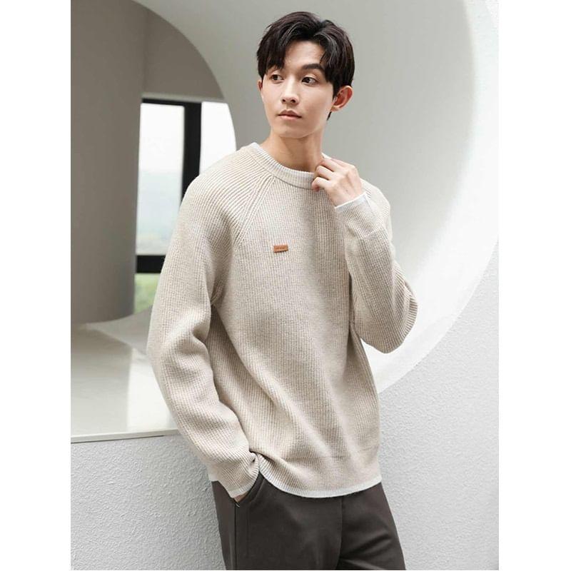 Crew Neck Contrast Trim Ribbed Sweater Product Image