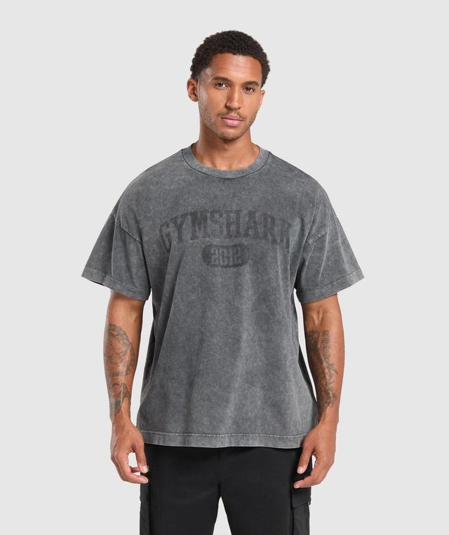 Collegiate Shadow Washed T-Shirt Product Image