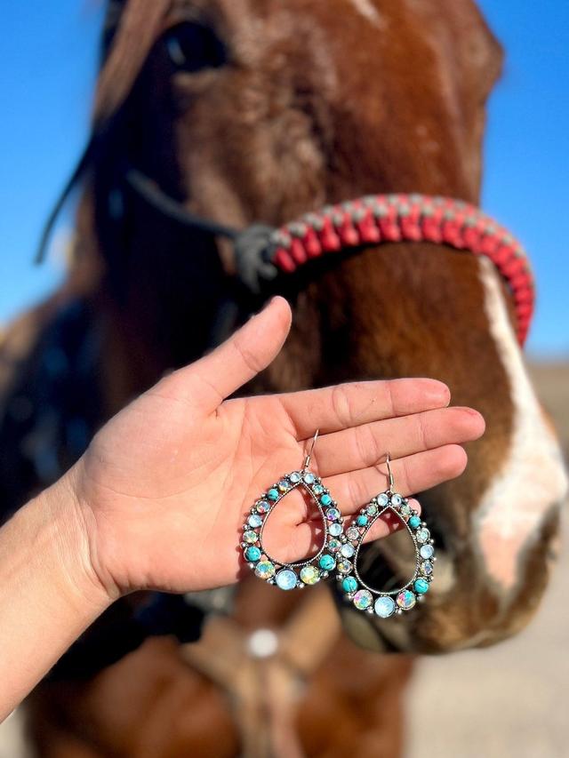 Teardrop Ranch Rhinestone Earrings- 4 Color Choices Baby Product Image