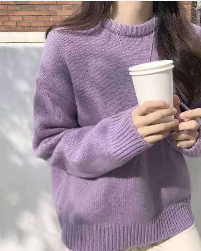 Crew Neck Plain Sweater Product Image