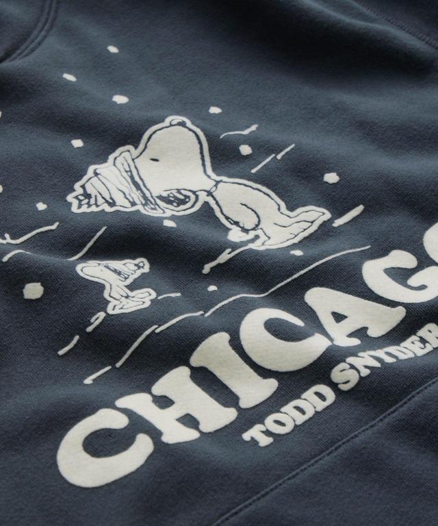 Todd Snyder X Peanuts French Terry Chicago Hoodie Product Image