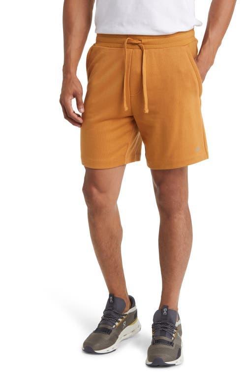 Mens 7.25 Chill Shorts Product Image