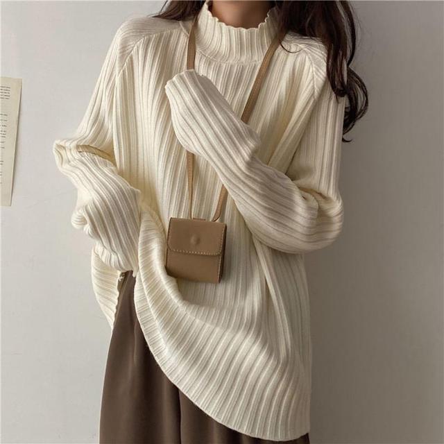 Turtleneck Plain Ribbed Sweater Product Image