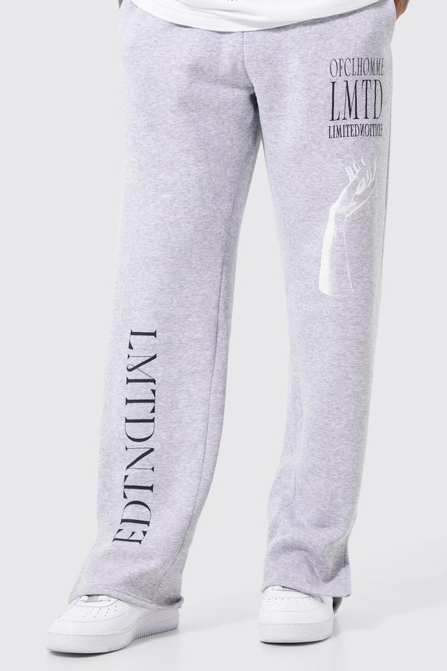 Mens Grey Regular Multi Graphic Jogger, Grey Product Image