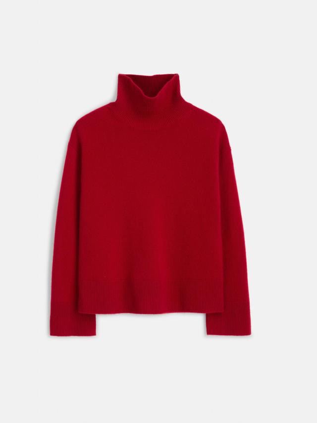 Cecile Turtleneck in Cashmere Female Product Image