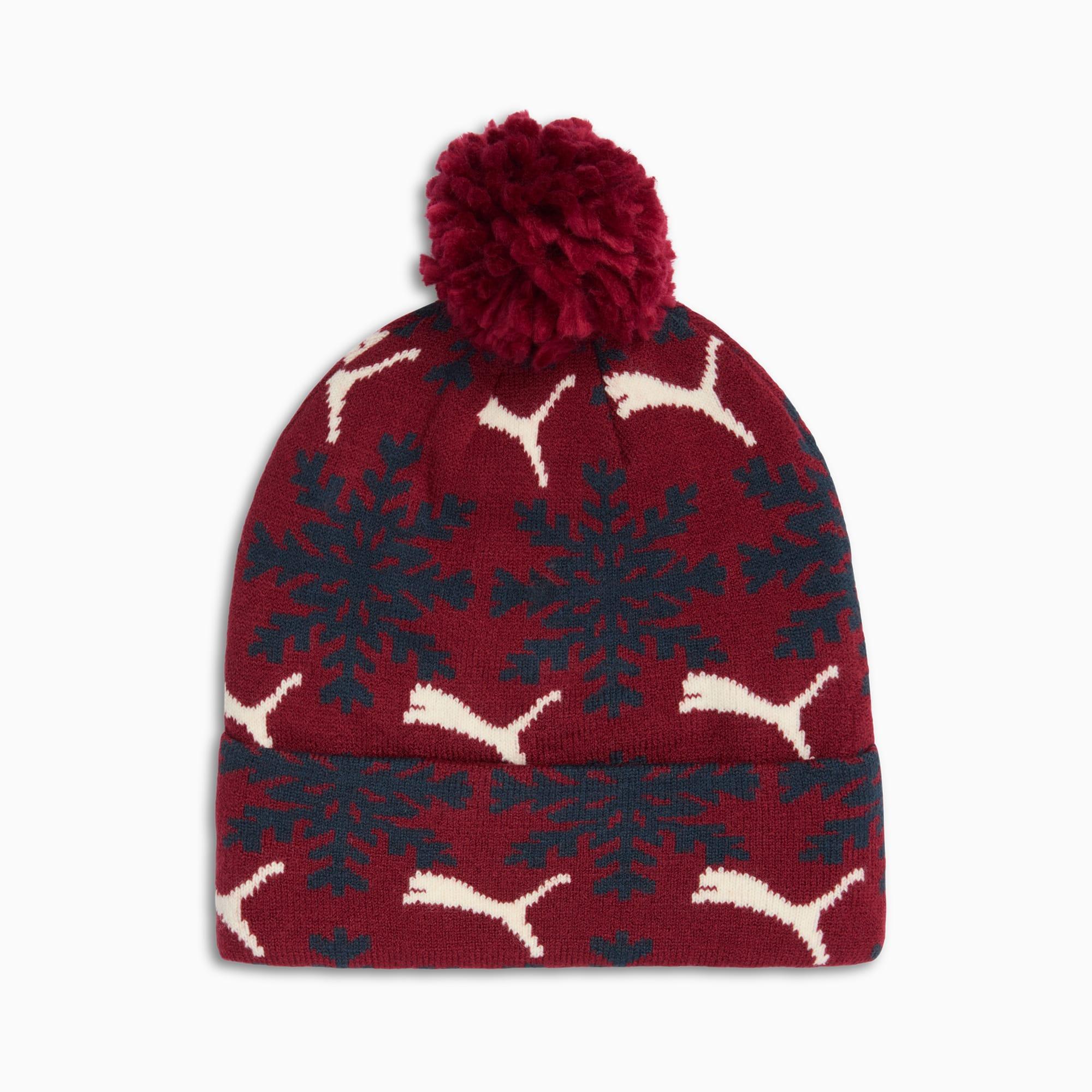 Fair Isle Winter Pom Pom Beanie Product Image