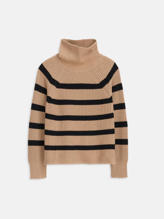 Chelsea Striped Turtleneck In Cotton Cashmere Female Product Image