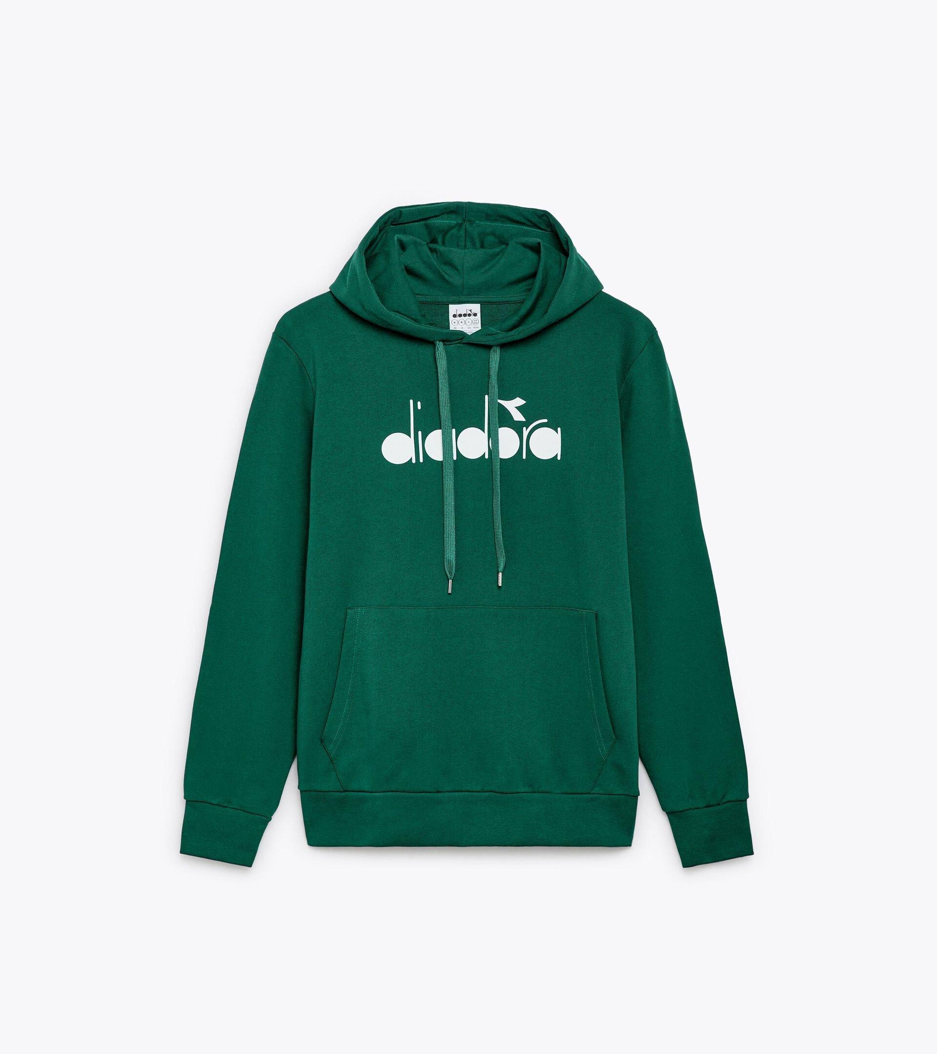 HOODIE LOGO Product Image