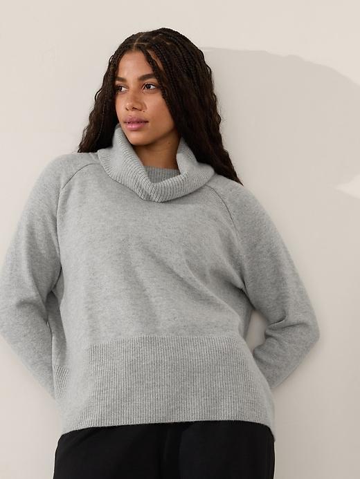 Alpine Turtleneck Sweater Product Image