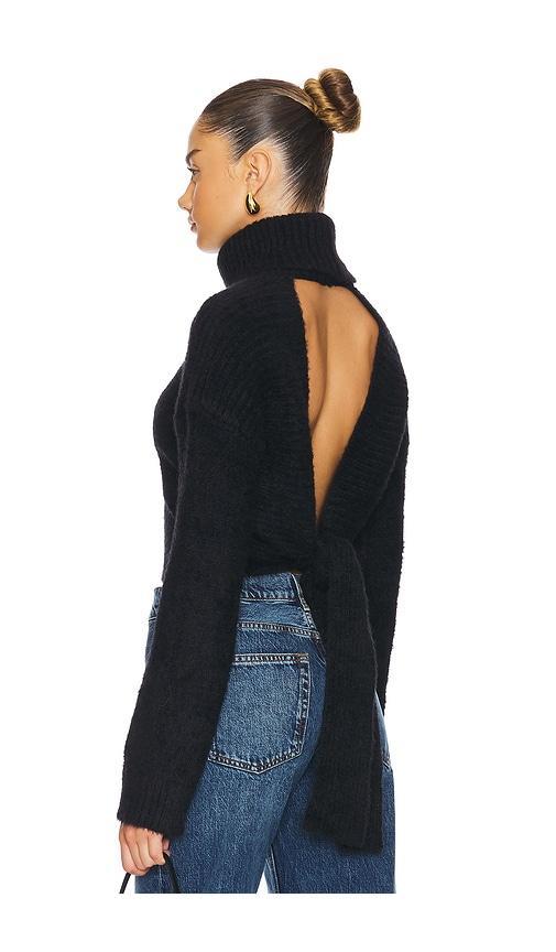 Elouise Tie Back Sweater Product Image