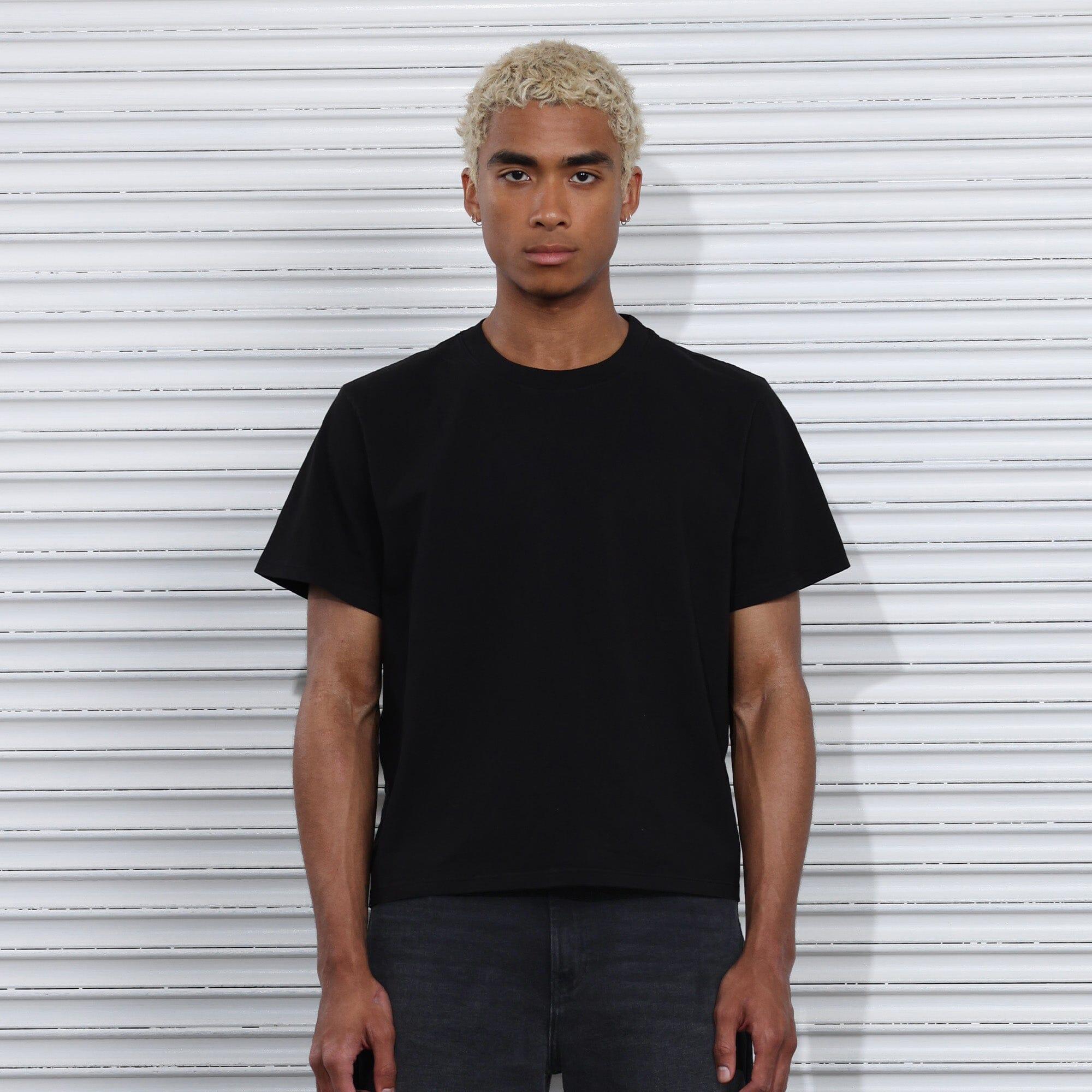 2-Pack | The Silverlake Crop Tee II Product Image