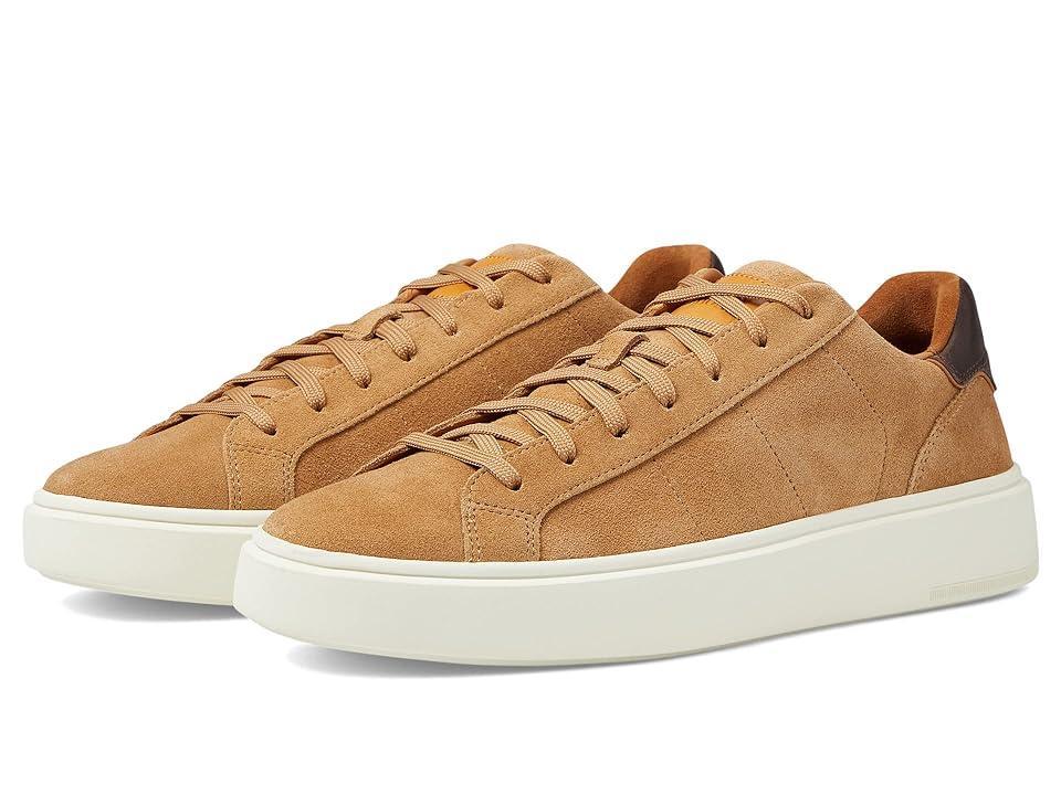 Allen Edmonds Oliver Lace-Up Sneaker Product Image