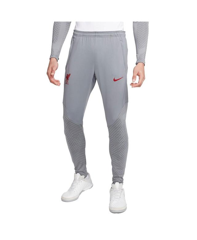 Mens Nike Gray Liverpool Strike Performance Training Pants Product Image