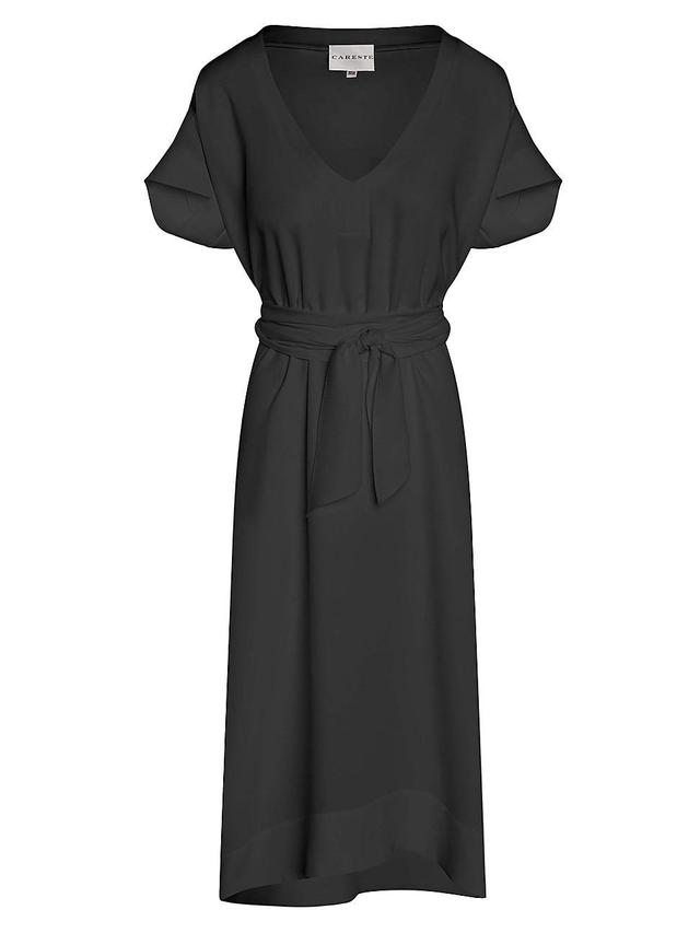 Womens Joanna Silk Dress Product Image