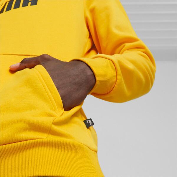 PUMA Essentials Big Logo Men's Hoodie Product Image